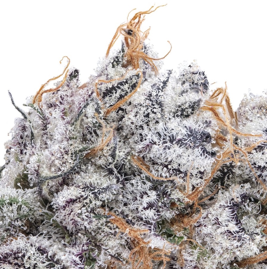 Frosty flower featured for the Orange Tango drop
